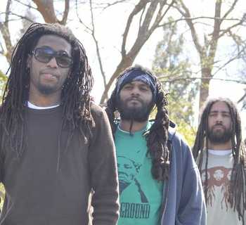 tribe of levi things to do