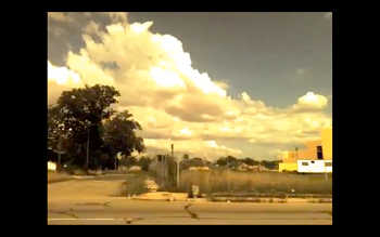 5ill king heron video