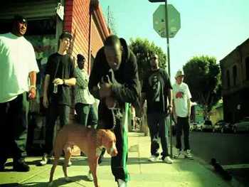 David Dallas feat. Freddie Gibbs - Caught In A Daze video