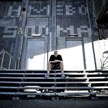 Homeboy Sandman - Watchu Want From Me