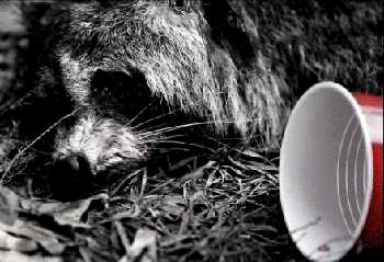 D-Sisive - All My Friends Are Dead video