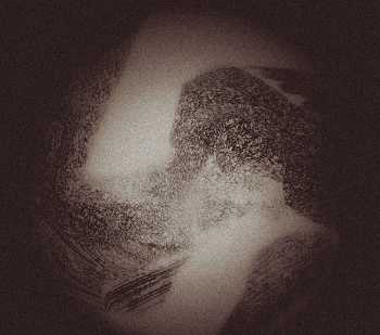 Ryshon Jones - In Theory (mixtape)