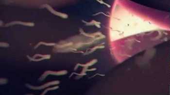 Illogic and Blockhead feat. Slug from Atmosphere - Capture the Sun video