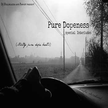 Sinoptic Music International - Pure Dopeness (special Interludes)