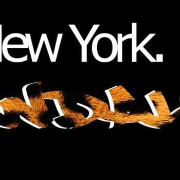 dr.eamz - under the bottem