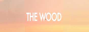 Lost Dialect - The Wood video