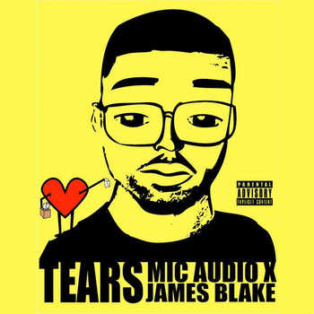 Mic Audience aka Mic Audio Vs James Blake - Tears