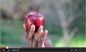 Denmark Vessey and Scud One - HoeininDaGaddaDaVida video Denmark Vessey and Scud One - HoeininDaGaddaDaVida video