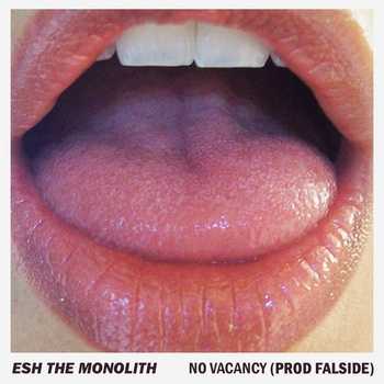 ESH the Monolith - No Vacancy