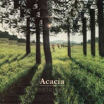 notclver - Acacia
