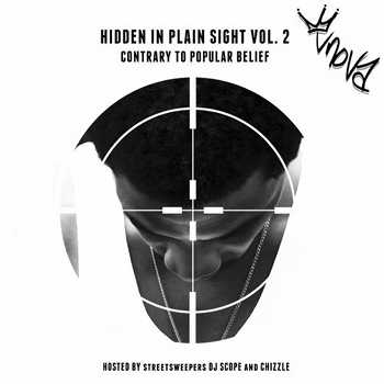 VNova - Hidden in Plain Sight Volume 2