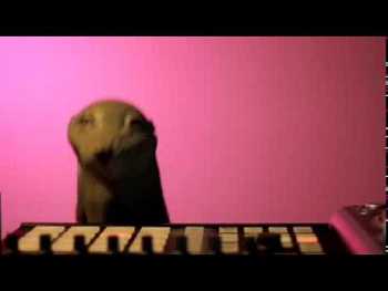 Doin Them Freaky Thang