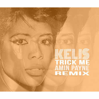 Kelis - Trick Me (Amin Payne remix)