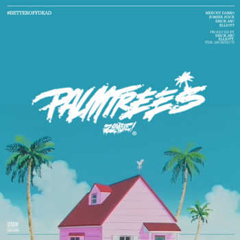 Flatbush Zombies - Palm Trees video