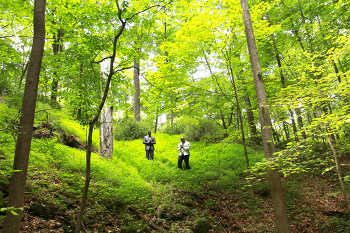 Dynamic Equilibrium - Dear Father video