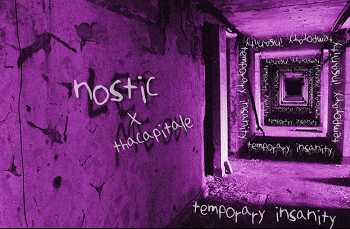 Nostic x ThaCapitalE - Temporary Insanity
