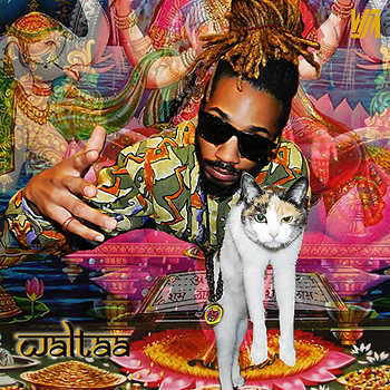 Waltaa - Tell yo mama video