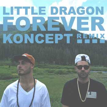 Little Dragon - Forever Koncept remix