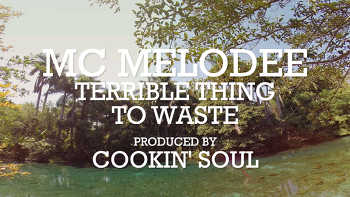 MC Melodee - Terrible thing To Waste video