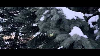 Zion I x Locksmith - Culture Freedom video