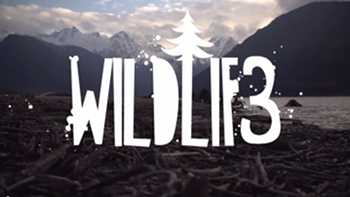 Def3 - Wildlif3 video