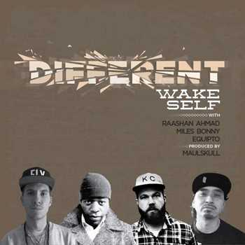 Wake Self feat. Equipto, Raashan Ahmad and Miles Bonny - Different