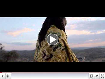 Chimurenga Renaissance - Pop Killer video