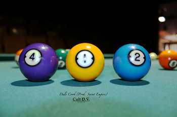 New ZephLand - Dale Cook