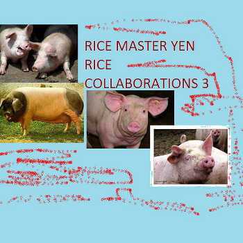 Rice Master Yen - Rice Collaborations 3
