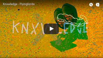 Knxwledge - Flyinglizrds video
