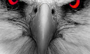 MeRCY feat. Sean Price - Eagle Eye View