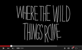Quelle Chris - Where The Wild Things Roam video