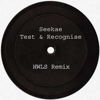Seekae - Test And Recognise (HWLS remix)