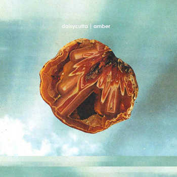Daisy Cutta - Amber