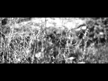 Dr. Yen Lo - Day 70 video