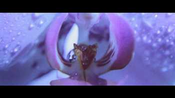 Shlohmo - Buried video