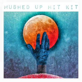 ±±Ding±± - Mushed Up Hit Kit