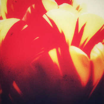 ±±Ding±± - low love music