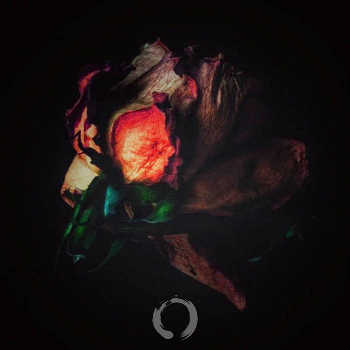 ±±Ding±± - Midnight in my World