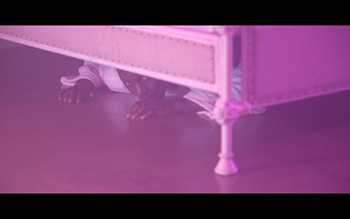 Dingo Johnson - 3SUM video