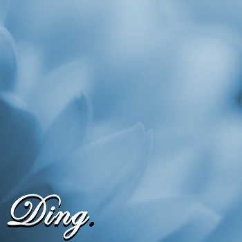 ±±Ding±± - A Thousand Motions