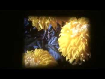 George Fields - She s Between video