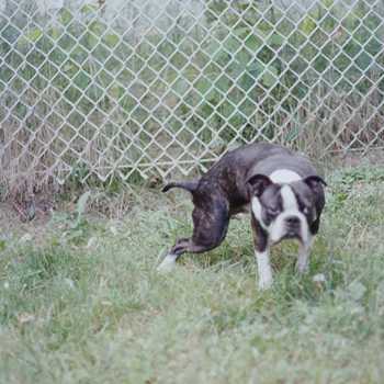 Kaytranada - 0.001% ???