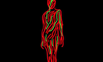 A Tribe Called Quest - We The People.... video