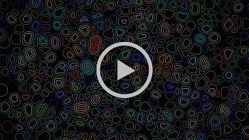 Max Cooper - Order From Chaos video