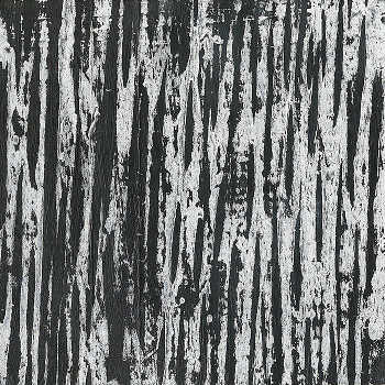 Misled Navigator - False Dreams