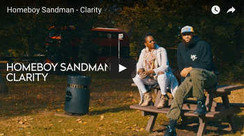 Homeboy Sandman - Clarity video