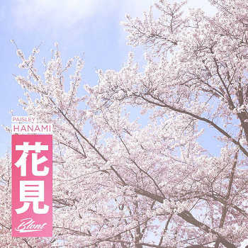 Paisley - Hanami