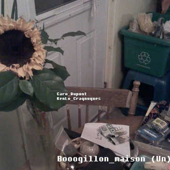 Caro Dupont x KenLo Craqnuques - Booogillon Maison (Un)