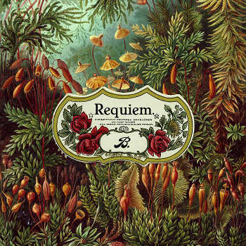 Braeden Bailey. - Requiem.